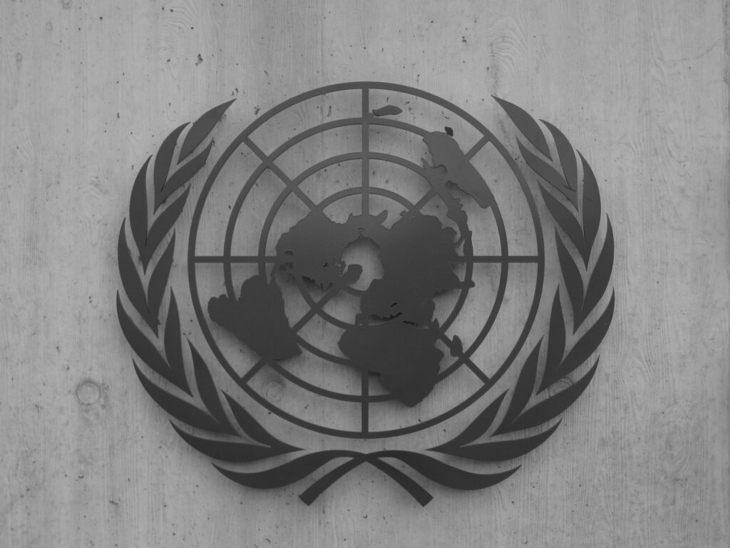 DPP Work and Impact Recognised in UN Secretary General Report 2013