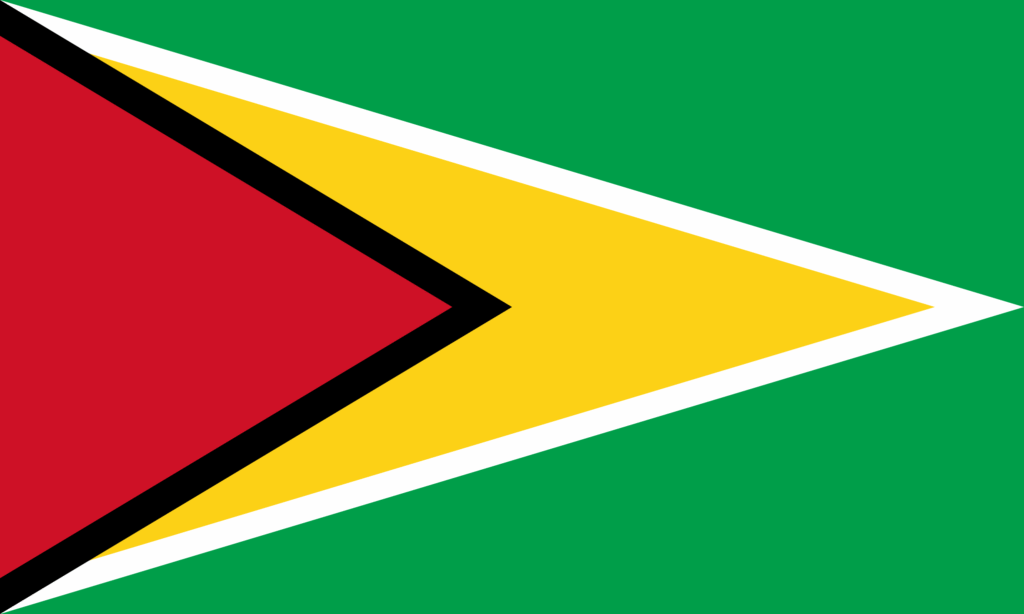 Delegation to Guyana on Sentencing in Capital Cases