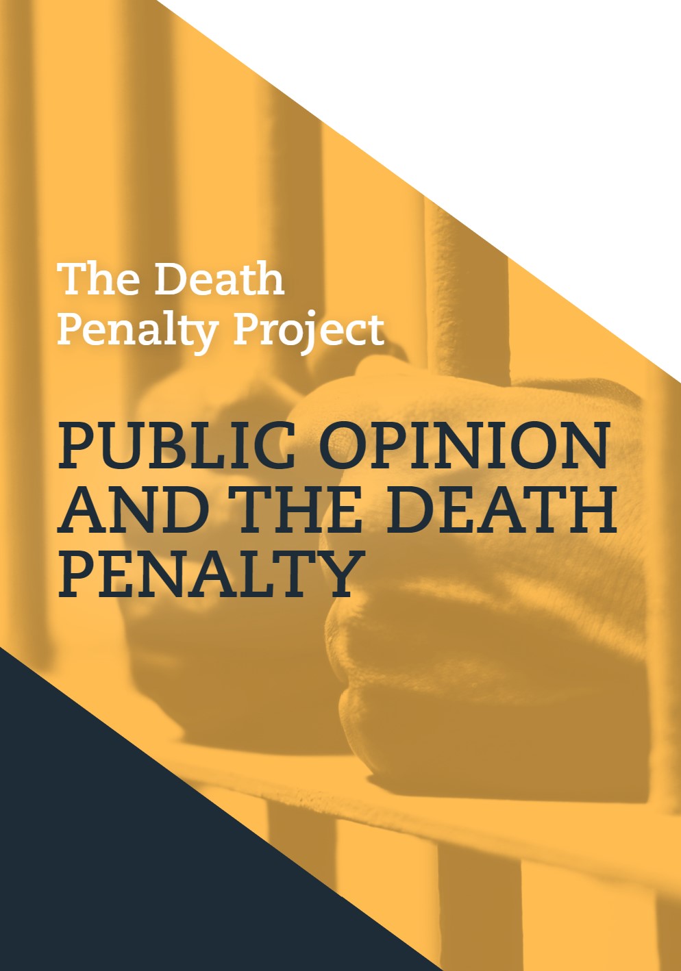 deterrence-policy-position-paper-the-death-penalty-project