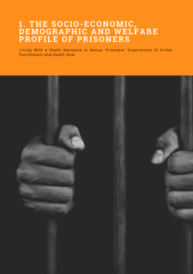 The Socio-Economic Demographic and Welfare of Prisoners