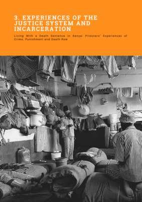 Experiences of the Justice System and Incarceration